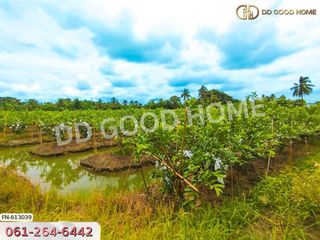 À vendre terrain à Nakhon Chai Si, Nakhon Pathom