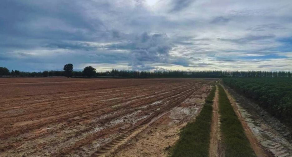 For sale land in Chom Bueng, Ratchaburi