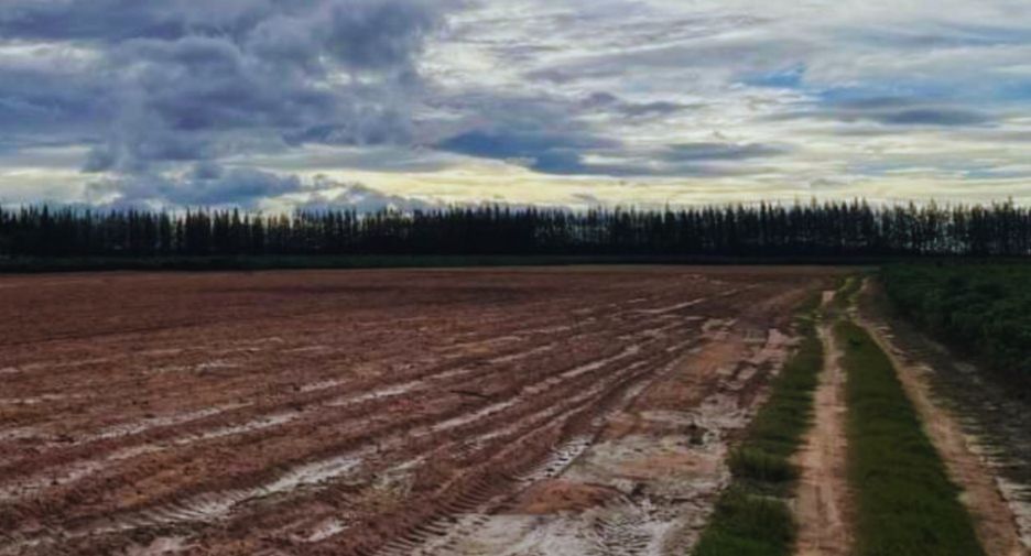 For sale land in Chom Bueng, Ratchaburi