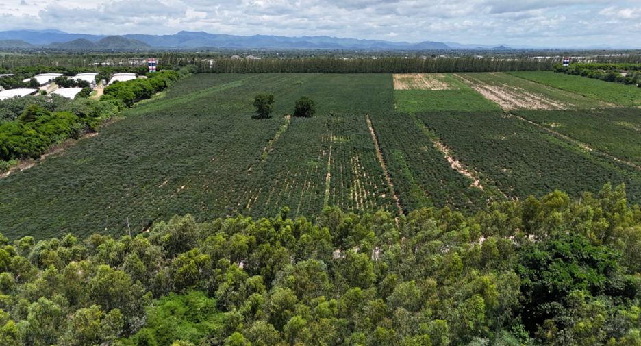 For sale land in Chom Bueng, Ratchaburi