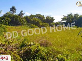 For sale land in Tha Chang, Sing Buri