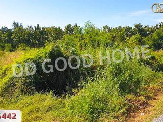 For sale land in Tha Chang, Sing Buri