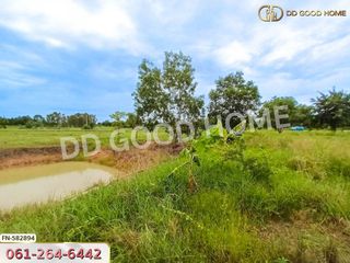 出售 土地 在 Don Chedi, Suphan Buri