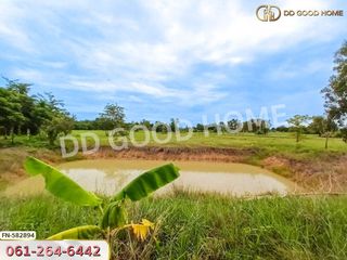 出售 土地 在 Don Chedi, Suphan Buri