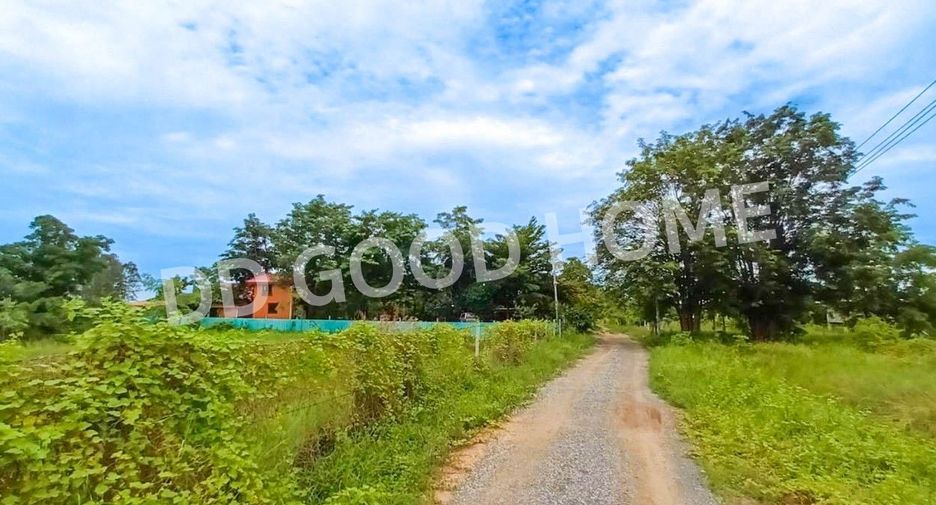 For sale land in Don Chedi, Suphan Buri