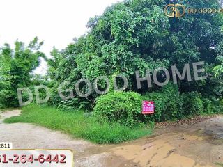 For sale land in Kaeng Khoi, Saraburi