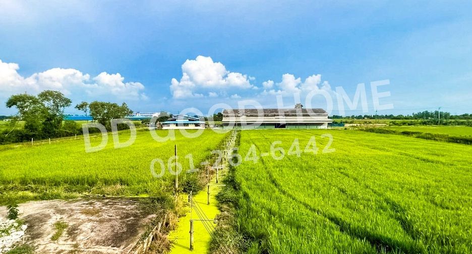 Grundstück zur Miete in Bang Nam Priao, Chachoengsao