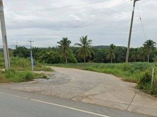 For sale land in Nong Yai, Chonburi