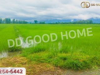 For sale land in Mueang Phayao, Phayao