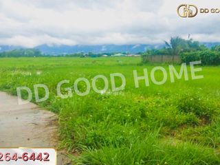 For sale land in Mueang Phayao, Phayao