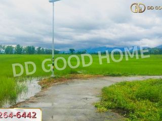 For sale land in Mueang Phayao, Phayao