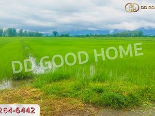 For sale land in Mueang Phayao, Phayao