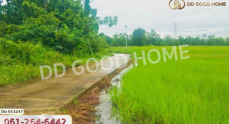 For sale land in Mueang Phayao, Phayao