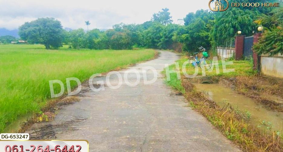 For sale land in Mueang Phayao, Phayao