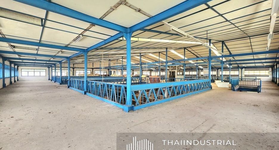 For rent warehouse in Lam Luk Ka, Pathum Thani