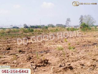 For sale land in Dan Khun Thot, Nakhon Ratchasima