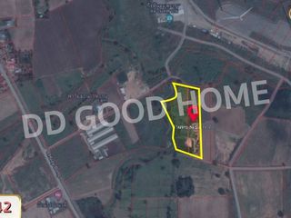 For sale land in Dan Khun Thot, Nakhon Ratchasima