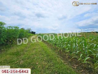 For sale land in Si Maha Phot, Prachin Buri
