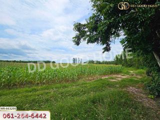 For sale land in Si Maha Phot, Prachin Buri
