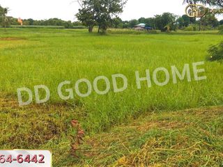For sale land in Non Sung, Nakhon Ratchasima