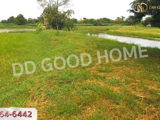 For sale land in Non Sung, Nakhon Ratchasima
