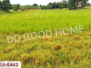 For sale land in Non Sung, Nakhon Ratchasima
