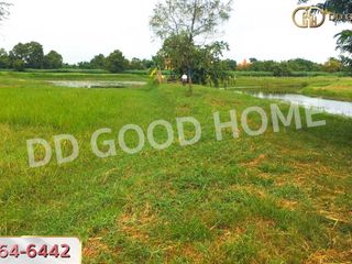 For sale land in Non Sung, Nakhon Ratchasima