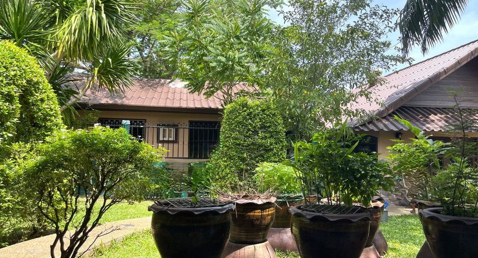 For rent 1 bed villa in Takua Thung, Phang Nga