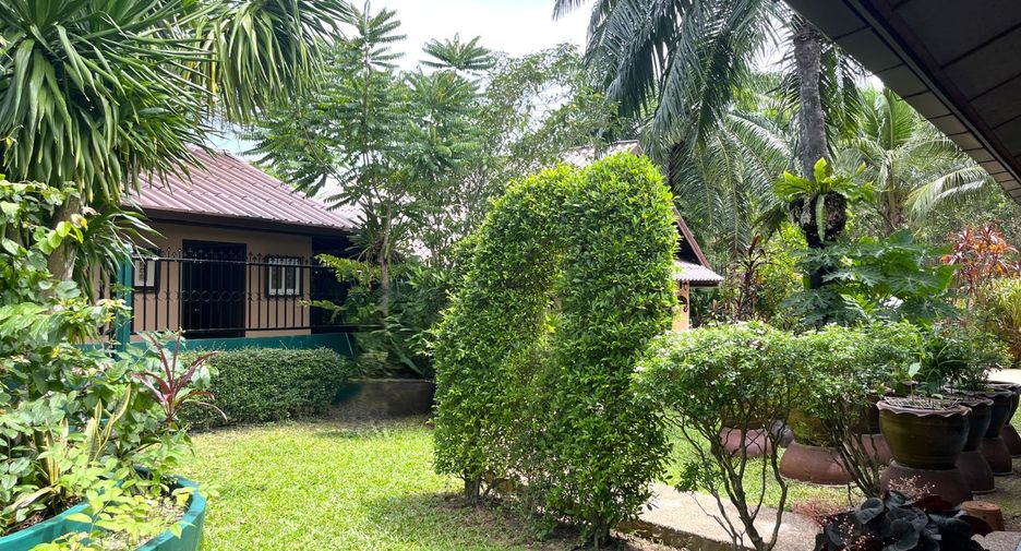 For rent 1 bed villa in Takua Thung, Phang Nga