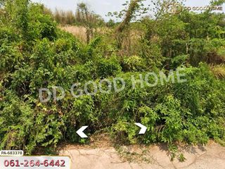 For sale land in Mueang Prachinburi, Prachin Buri