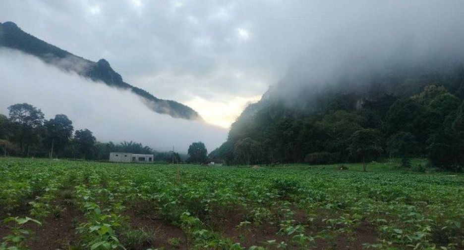 For sale land in Chiang Dao, Chiang Mai