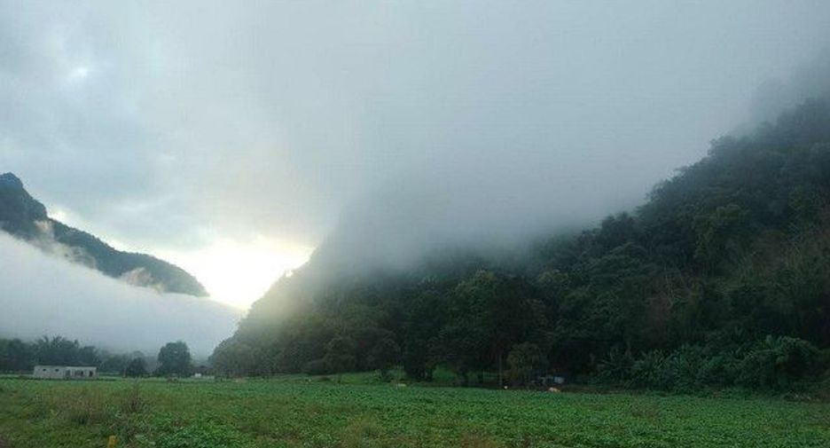 For sale land in Chiang Dao, Chiang Mai