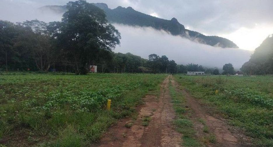 For sale land in Chiang Dao, Chiang Mai