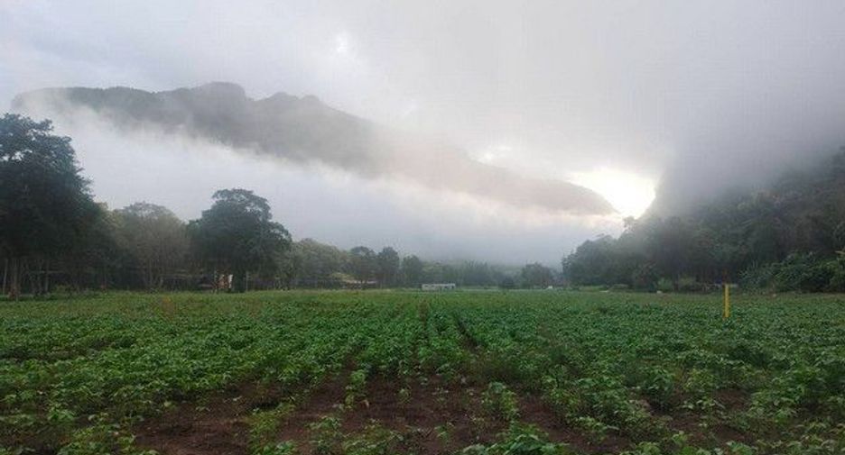 For sale land in Chiang Dao, Chiang Mai