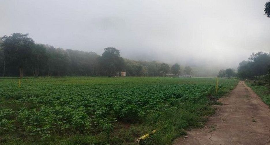 For sale land in Chiang Dao, Chiang Mai