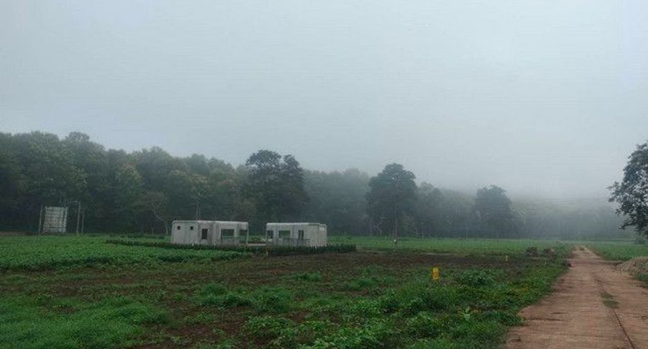 For sale land in Chiang Dao, Chiang Mai