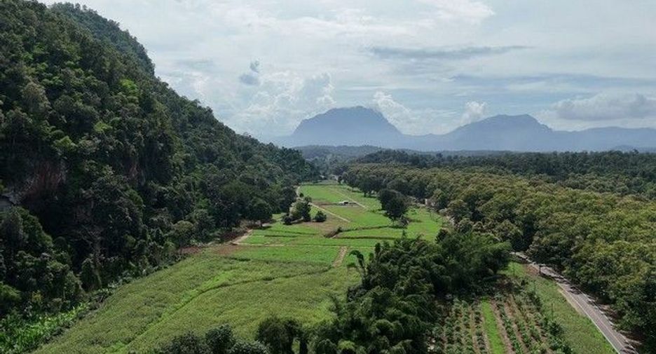 For sale land in Chiang Dao, Chiang Mai