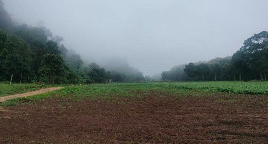 For sale land in Chiang Dao, Chiang Mai