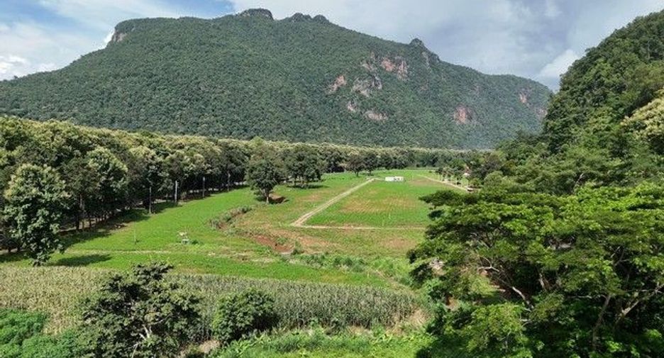 For sale land in Chiang Dao, Chiang Mai