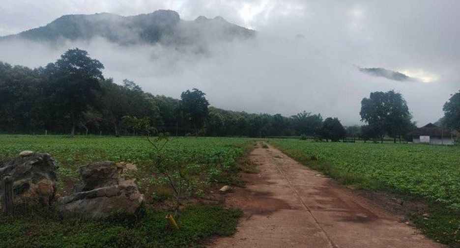 For sale land in Chiang Dao, Chiang Mai