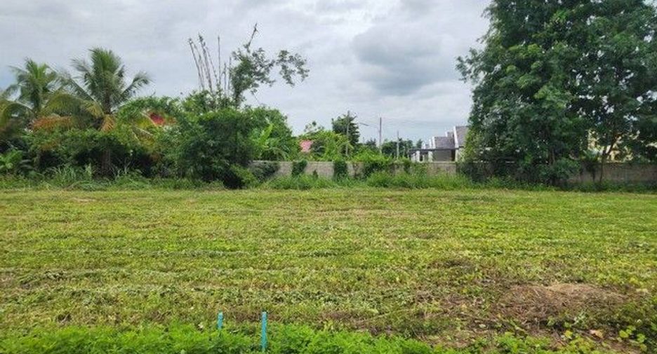 For sale land in Saraphi, Chiang Mai