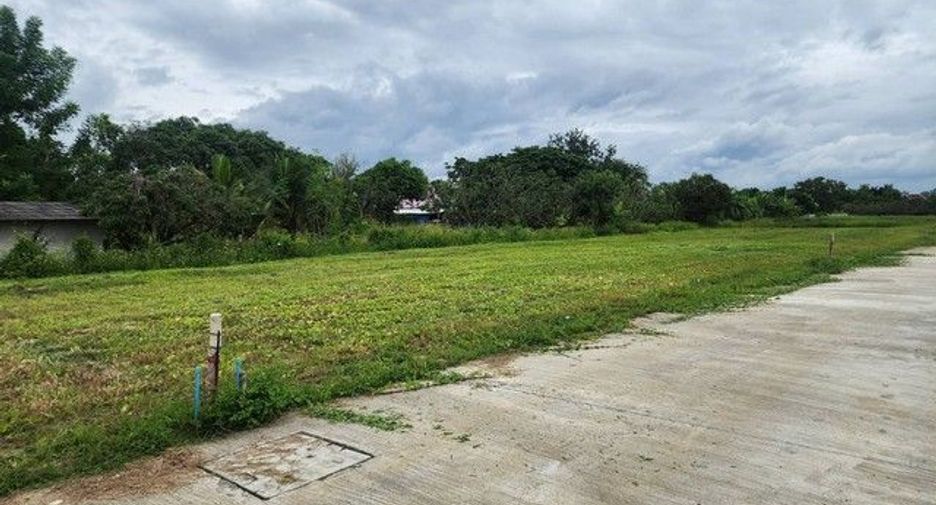 For sale land in Saraphi, Chiang Mai