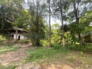 For sale land in Takua Thung, Phang Nga