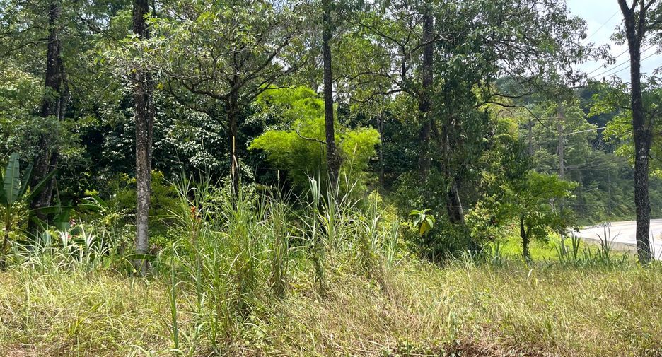 For sale land in Takua Thung, Phang Nga