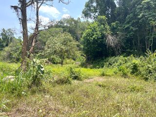 For sale land in Takua Thung, Phang Nga