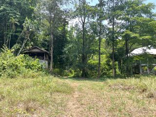 For sale land in Takua Thung, Phang Nga