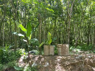 For sale land in Thai Mueang, Phang Nga
