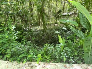 For sale land in Thai Mueang, Phang Nga