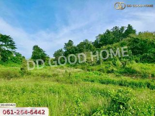 For sale land in Phan, Chiang Rai