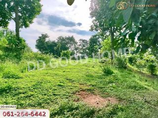 For sale land in Phan, Chiang Rai